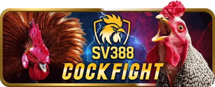 Dịch vụ khách hàng y88 2 người